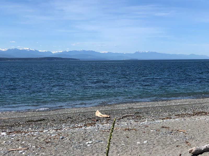 beach, Deception Pass State Park