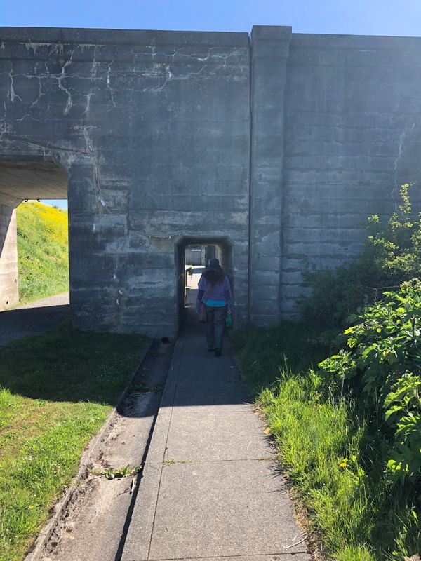Fort Casey State Park