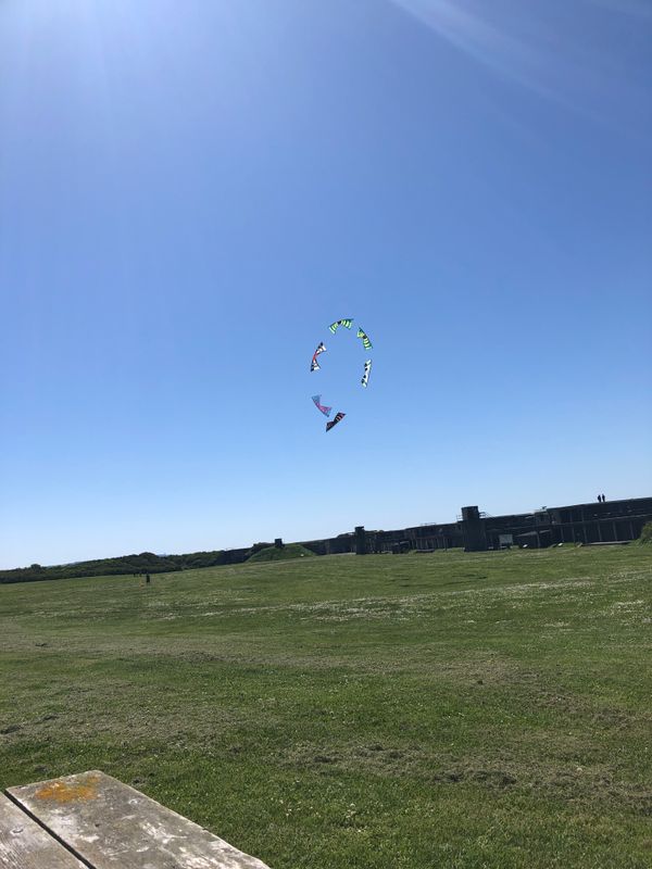 kites!