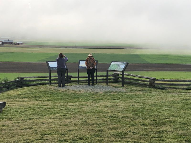 By cemetery, Coupeville, overlooking the prairie