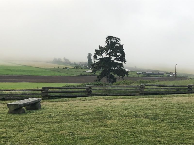 fog over prairie