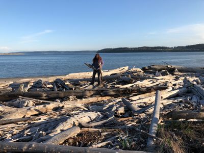 Park in Oak Harbor; lots and lots of driftwood
