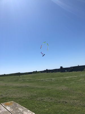kites!
