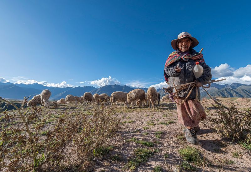 Peru 1165
