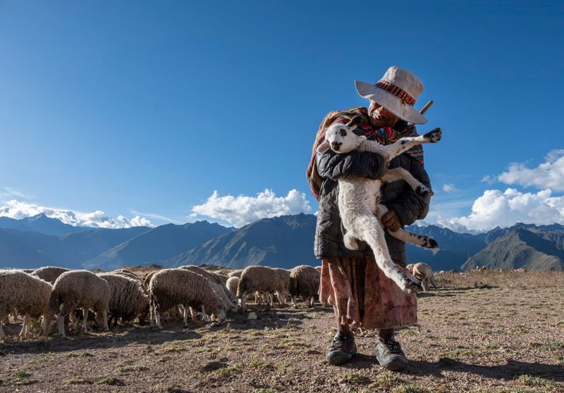 Peru 1190