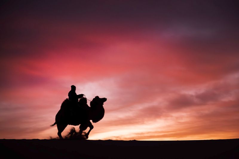 Mongolia_6731-Enhanced-NR.jpg