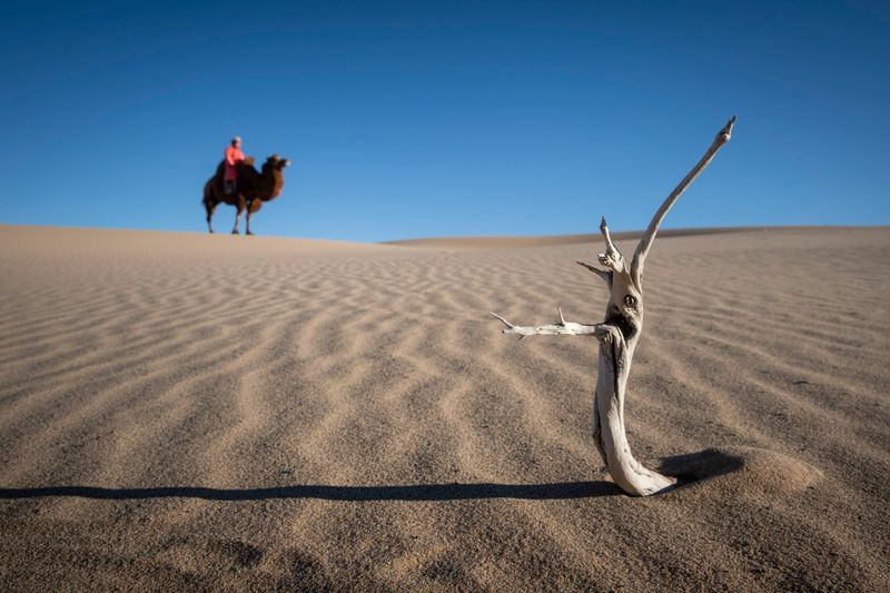 Mongolia_6173.jpg