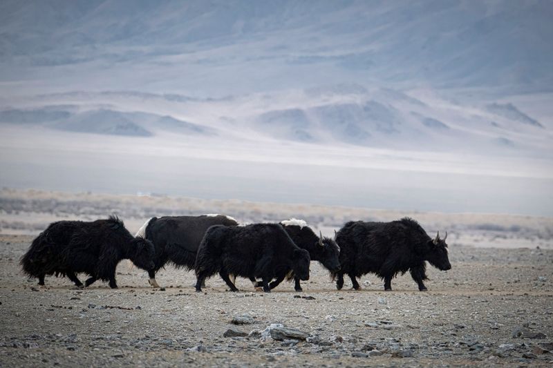 Mongolia_5866.jpg