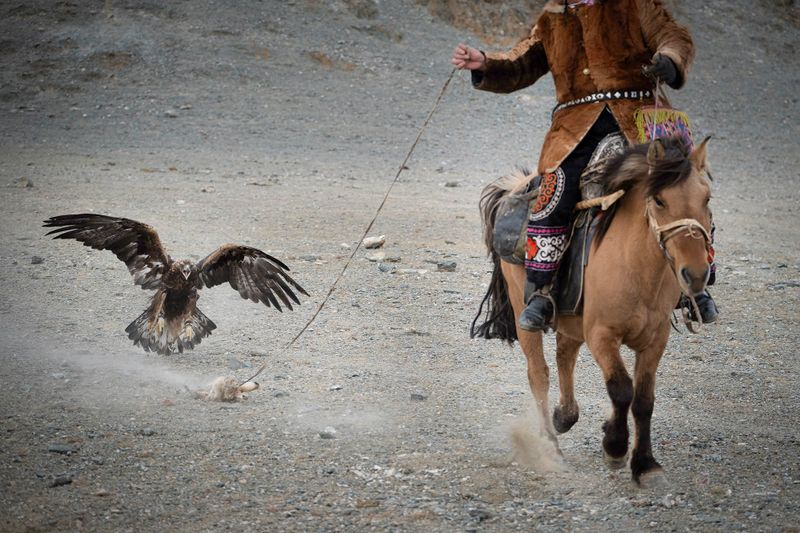 Mongolia_5873.jpg