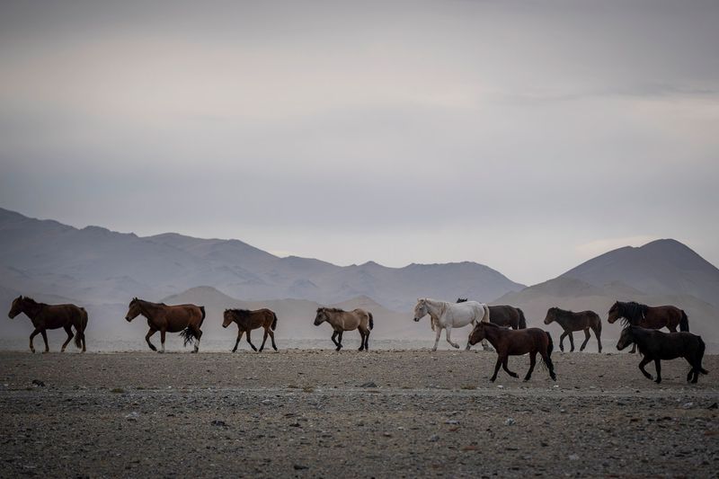 Mongolia_5885.jpg