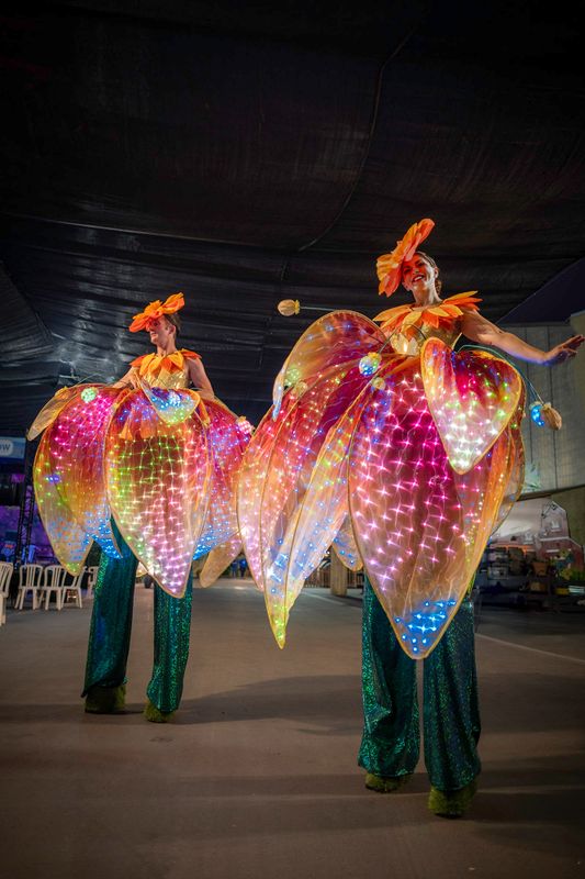San Diego County Fair Gallery