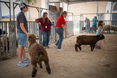 Fair_8250-Enhanced-NR.jpg