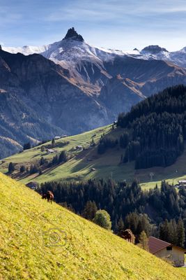 Tschingelhorn , Adelboden , Switzerland