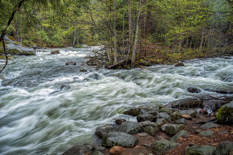 Merced River Confluence