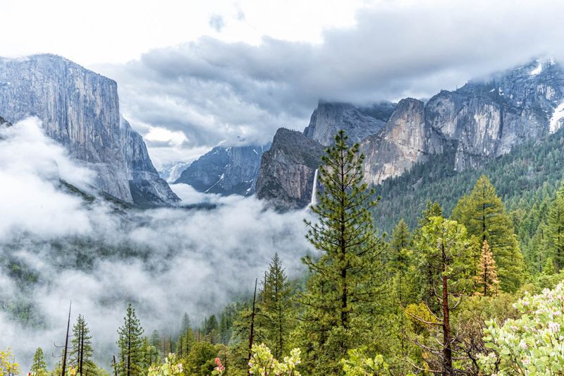Tunnel View