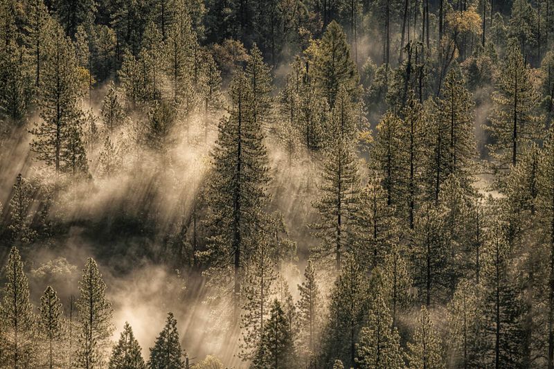 Tunnel View - Low Lying Fog