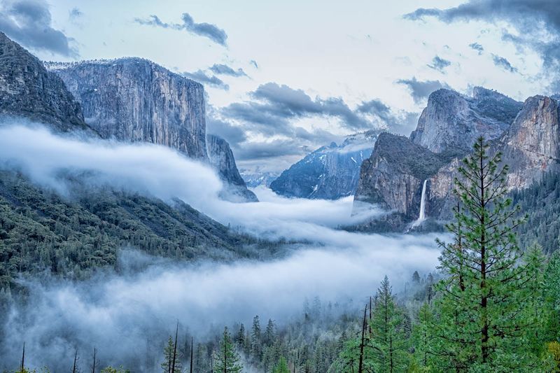 The Fog Zig Zags Its Way