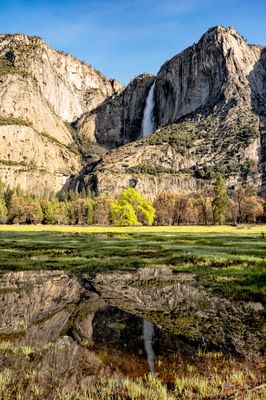 Yosemite Falls W/Reflection