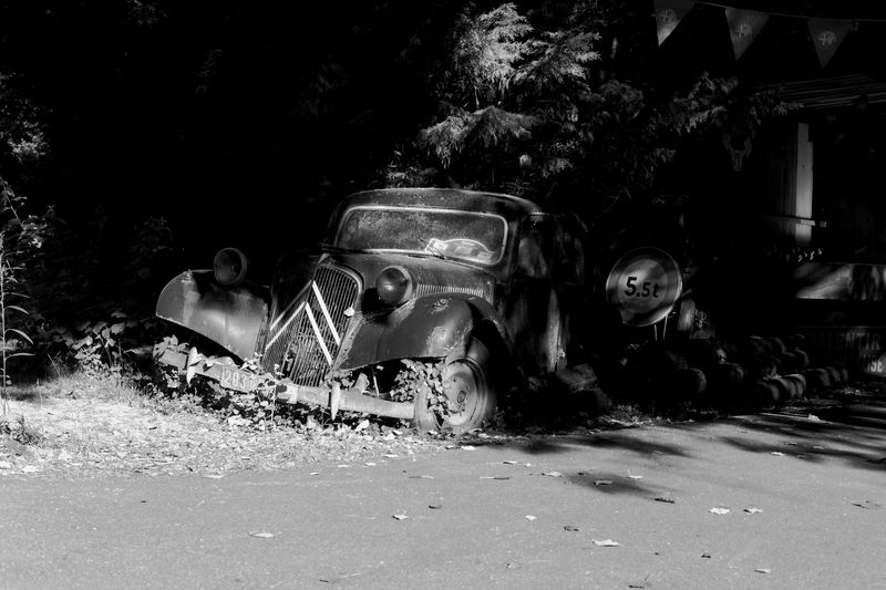 g13/65/870565/2/174917475.c3584597.JPEG