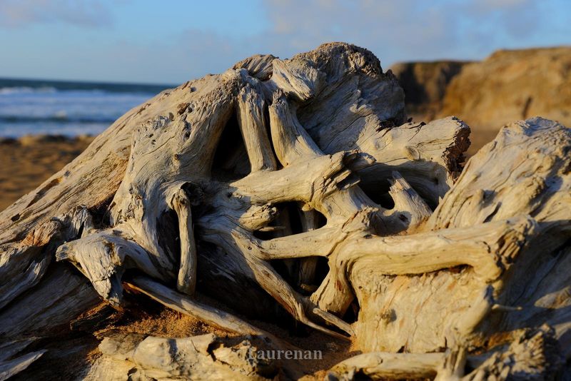 Quiberon 