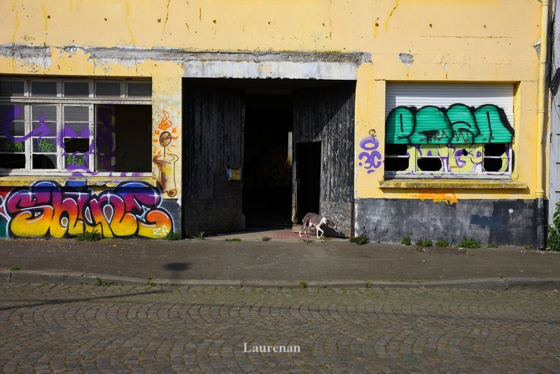 Kroman Lorient Akya Graffiti (3).jpg