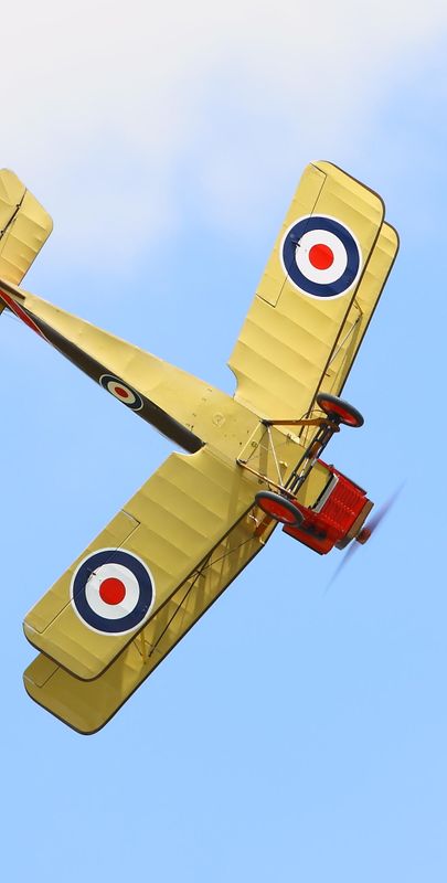 IMGL6342.JPG