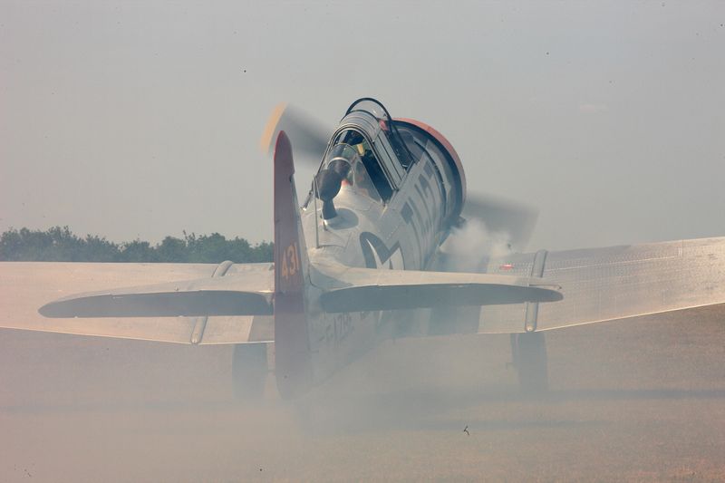 IMGL8707.JPG