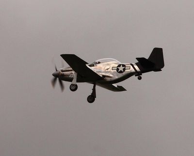 g13/65/870565/3/175539637.3dc69c17.JPEG