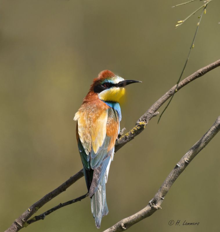 Extremadura 2025