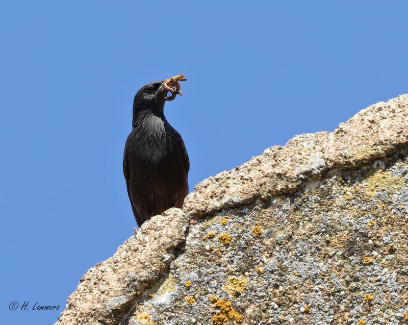 Extremadura 2025