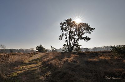 Landscapes - Landschappen
