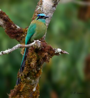 Costa Rica