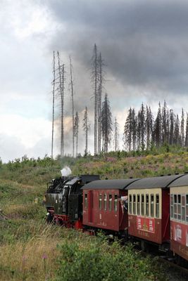 Harz