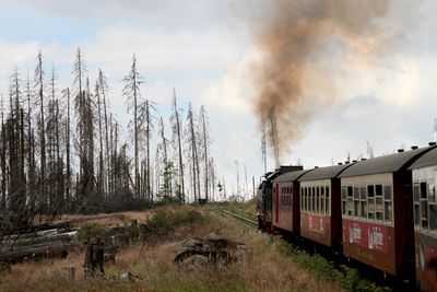 Harz