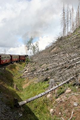 Harz