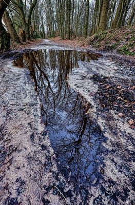 Drenthe, hoog water in het Drentsche Aa