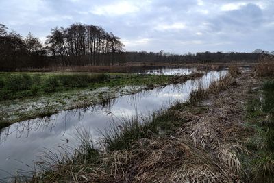 Drenthe, hoog water in het Drentsche Aa