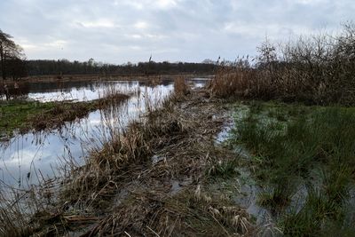 Drenthe, hoog water in het Drentsche Aa