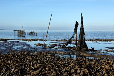 Wadden
