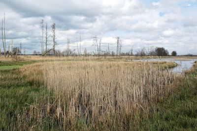 onlanden