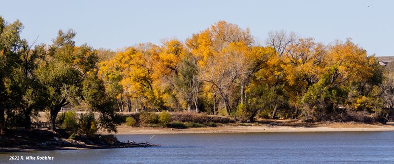 _R7_0924.jpg