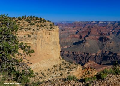 _R6_5519.jpg