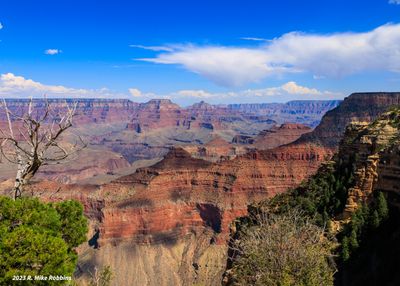 _R7_4199.jpg