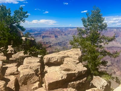 IMG_3902.jpeg
