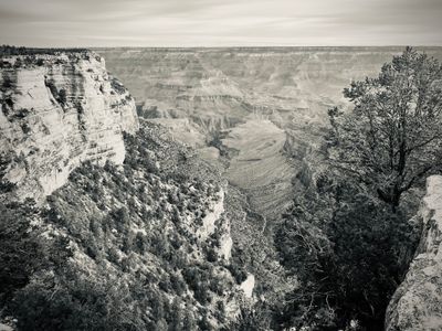 IMG_3932.jpeg
