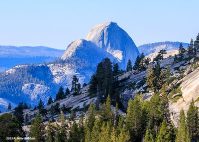 _R7_4584.jpg