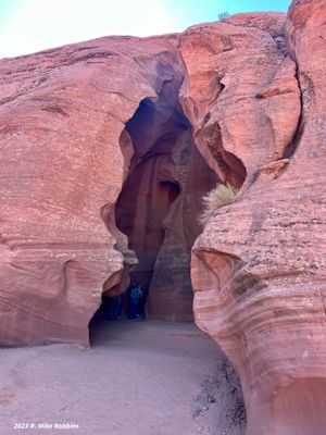 IMG_4549.jpg