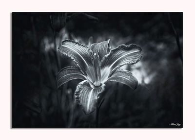 Reaching Out...