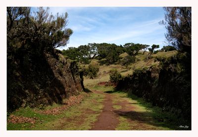 The Path Chosen...