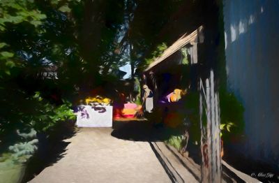 g13/66/160466/3/174964452.8b9d15d7.JPEG